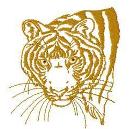 Big Cats