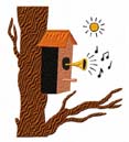 Musical Birdhouse