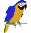 Exotic Bird Macaw 1
