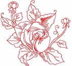 Gorgeous Roses