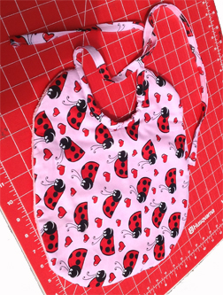 Project Idea by Wendy - she sewed the baby bib.