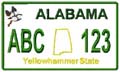 State License Plates 2009