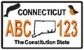 State License Plates 2009