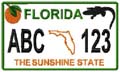 State License Plates 2009