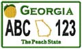 State License Plates 2009