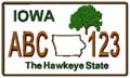 State License Plates 2009