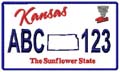 State License Plates 2009
