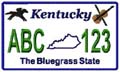 State License Plates 2009