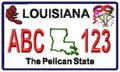 State License Plates 2009
