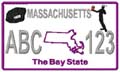 State License Plates 2009