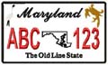 State License Plates 2009