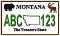 State License Plates 2009