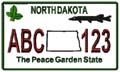 State License Plates 2009