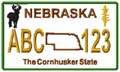 State License Plates 2009