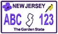State License Plates 2009