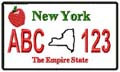 State License Plates 2009