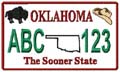 State License Plates 2009