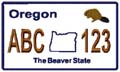 State License Plates 2009