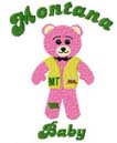 State Bear Design